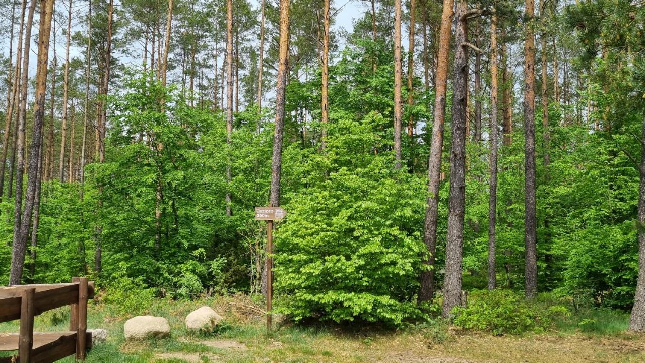 Ptasie Radio, Domek 48.2 Ostoja Bukowo Borowy Mlyn Екстериор снимка